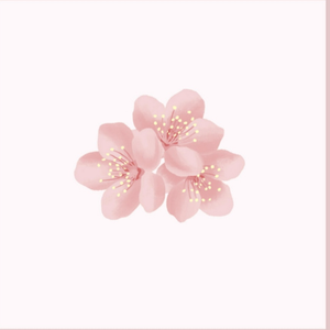 亚洲AV无码国产精品白丝
