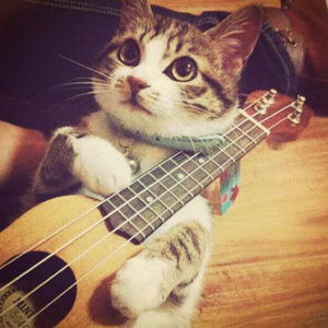 亚洲AV无码国产精品白丝
